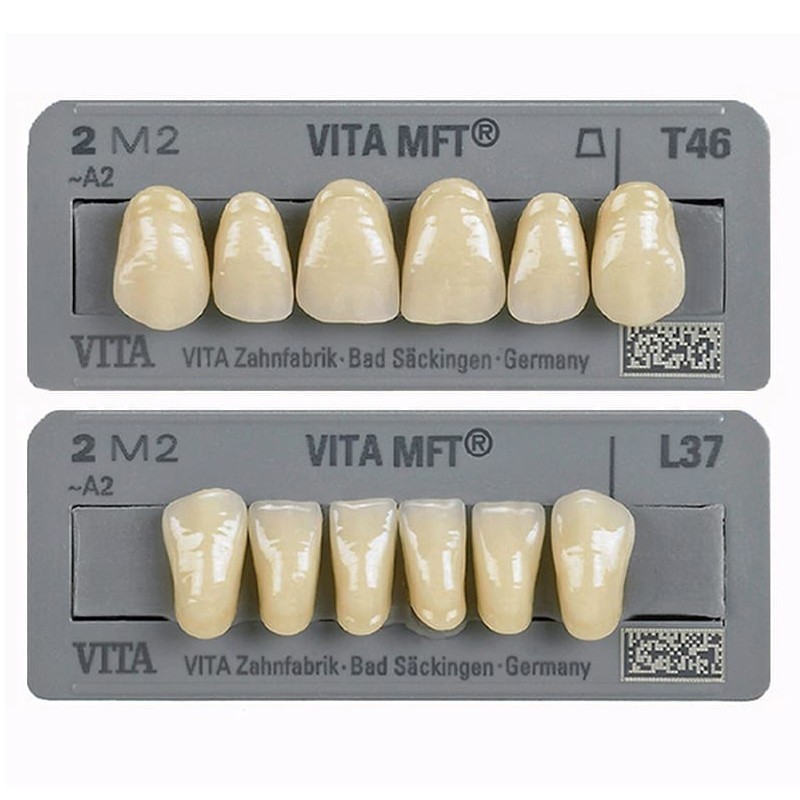 Vita zuby MFT, 6 ks