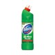 Domestos 24H WC Fresh Pine 750 ml