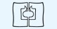Rúška Foliodrape Protect 2-vrstvová, sterilná, s otvorom 75 x 90 cm