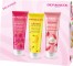 Dermacol sada - Sprchový gél banán 250 ml, divoká malina 250 ml, liči 250 ml